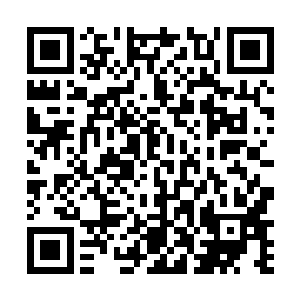 其中不但有华国几家公司安排的国外工程项目安保合同二维码生成