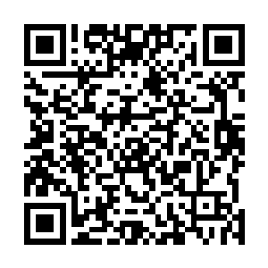 其中专门用来提升术士精神力的药剂配方和成品不要太多二维码生成