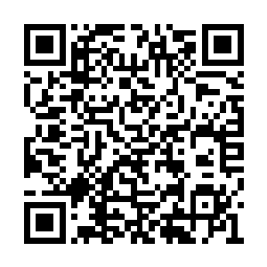 其中为首的那只妖兽正是之前袭击他们的碧眼雕二维码生成