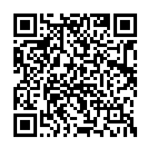 其中关系利弊她与杏儿两人已经分析得很是透彻二维码生成