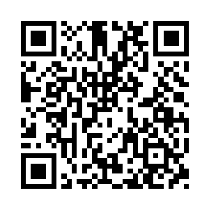 其中几十个黑黢黢深不见底的椭圆形弹坑二维码生成