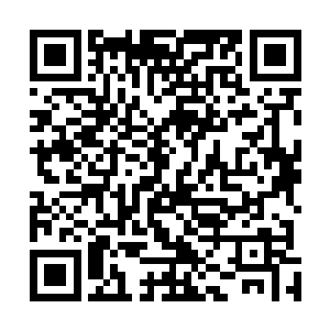 其中刘宇住在外面的一条信息让洪公子下定决心亲自蹲他二维码生成