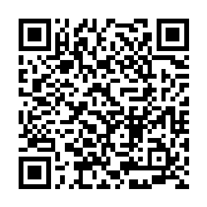 其中包括为数不多的机械化部队中的两个机械化军二维码生成