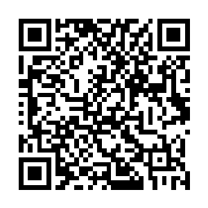 其中包括傲翅虎带来的一名灵环真人以及十二鹰中的小九二维码生成