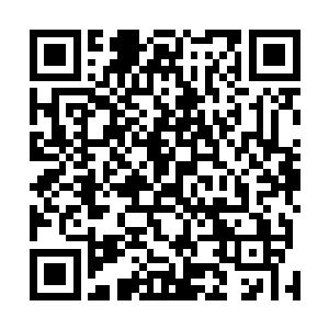 其中大约只有不到十分之一的人是马文的招募名单上的人二维码生成