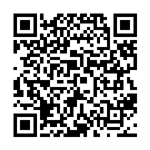 其中大部分都是因为藏青胡想要为其母亲报仇的自私行为二维码生成