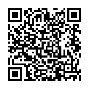 其中大部分都还是至尊境初期的修为……所以呢二维码生成