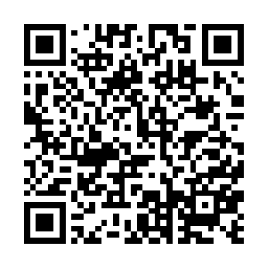 其中对修炼者与普通人之间出现纠纷的条款法规最多二维码生成