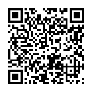 其中当然包括小秋可能看到我和白奇雪接吻的事情二维码生成