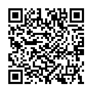其中整合了天诺家的资产以及龙门这些年的资产二维码生成