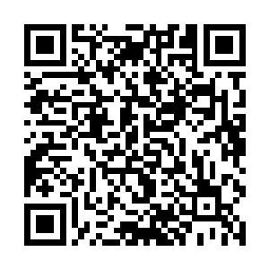 其中最关键的自然是圣后娘娘与教宗大人之间的友谊二维码生成