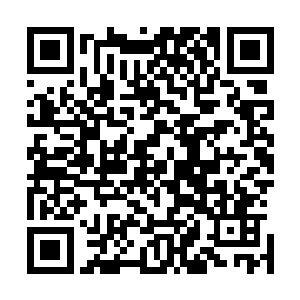 其中最叫他们惊讶的是他们发现金在珉竟然在看中文的书籍二维码生成