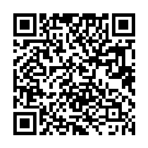 其中最大的遗憾便是见到白花榜上排名第一的美人花二维码生成