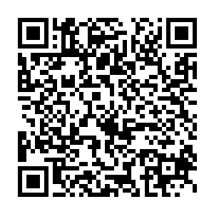 其中最珍贵的奖励便是后天巅峰高手冲击先天时需要服用的入天丹二维码生成