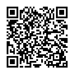 其中有一位一直沉默没有存在感的大师兄被她救了之后二维码生成