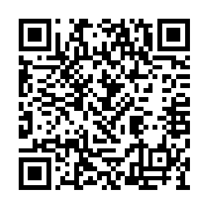 其中有几名蒙家的护卫已经不敢置信地大叫出来二维码生成