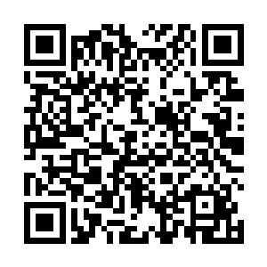 其中有四道属于暗红色的异能力是西方血族的四位大公二维码生成
