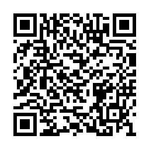 其中有超过五成的功力来维持这些功力稳定灌入二维码生成