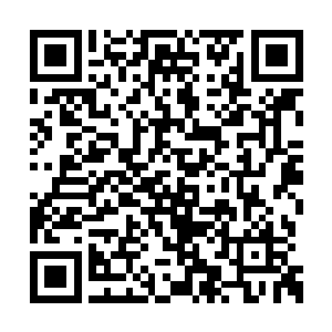 其中有部分就是电影艺术与科学学院的核心成员二维码生成