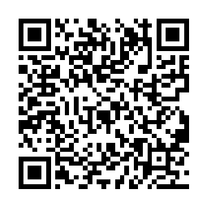 其中炼制的血巫丹就需要收集无数强大的生物的血二维码生成