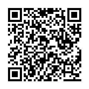 其中爬进马桶里找栓塞的奇思妙想堪称影史经典二维码生成