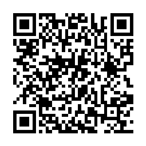 其中的一种人认为不随着云家一起去海岛就等于背叛二维码生成