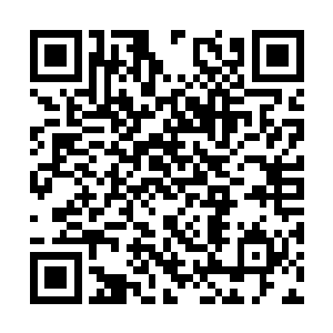 其中的原因正是因为他要不惜一切代价除掉霍君白二维码生成
