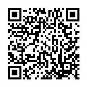 其中的大部分都是和自己一起经历过琅琊镇战斗过的弟子二维码生成