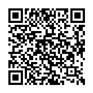 其中竟是足有六分之一的护卫系海族被标示出来二维码生成