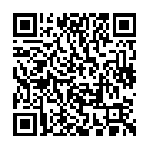 其中第一颗莲子吸收了创世青莲绝大多数的力量二维码生成