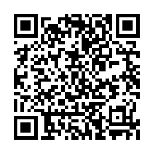 其中舰队除了王枫带来的三艘护卫舰与武装商船二维码生成