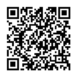 其中蕴含的力量甚至已经足以跟那天晶城和元华城下的晶矿比肩二维码生成