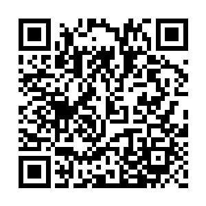 其中被簇拥在中间的正是府令卫海川和统领左顺二维码生成