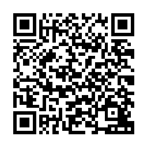 其中记录着历代混元宗外门修士构建九九灵山的成功优秀范本二维码生成