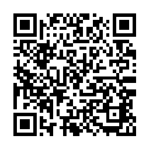 其中跟龙傲天有过一面之缘的郑娇娇赫然在此列二维码生成