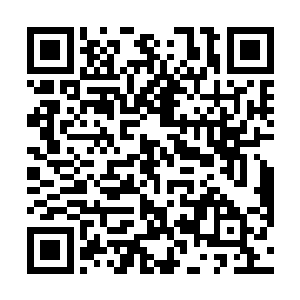 其中还有一个堪比领悟道之本源的境关圆满的傀儡强者二维码生成