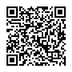 其中还有几个大罗元境二重天的高手元神并没有被打散二维码生成