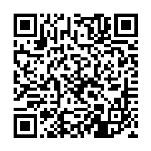 其中还有最为重要的一点就是你对生命之树做了手脚二维码生成