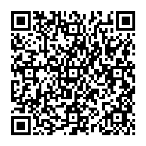 其中野马渔业投入市场的十五吨金枪鱼比原来预计的价格足足狂飙了百分之二十一点多二维码生成