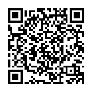 其中除了末代皇帝被大楚太祖以王侯之礼下葬以外二维码生成