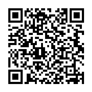 其产生的力道瞬间让断腰大哥的动作慢了几十分之一秒二维码生成