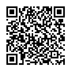 其人在圣阶的时候领悟的圣阶三昧力量为大威太阳真火二维码生成