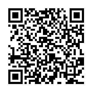 其他三人都是在腰后重新坠上一串比之前粗了一倍的二维码生成