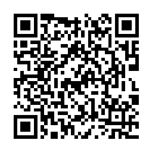 其他不知情的杀手则期待着威能乱飞的大场面到来二维码生成