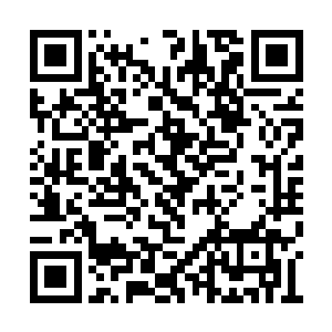 其他九原人凡是坐下的几乎在同一时间全部站起二维码生成