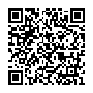 其他事情都是交给自己的经纪人黛玻菈去处理的二维码生成