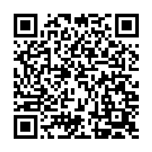 其他人中间有个别可是真没把这好像塑料表带的手表看上眼二维码生成