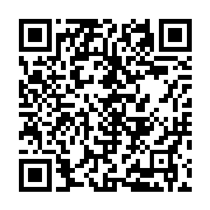 其他人也迅速从身上各处掏出几个或者十几个的储物装备二维码生成