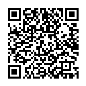 其他人则一边等吃一边意犹未尽地讨论着动物赛跑的事情二维码生成