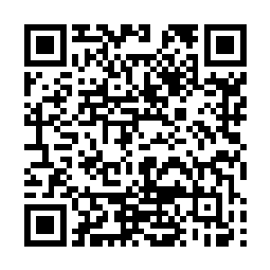 其他人却也是别想逃得掉的……更何况这个老大的身份二维码生成